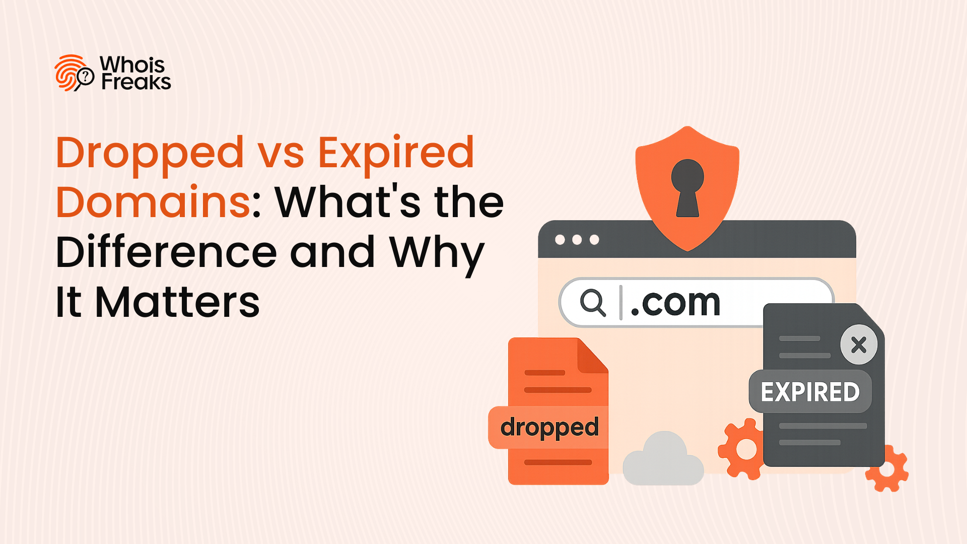 Dropped vs Expired Domains: Understanding the Difference