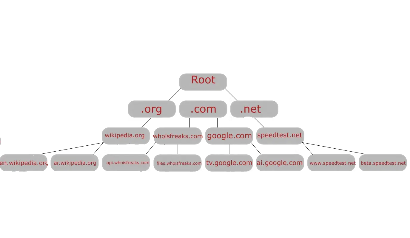 Domain name System (DNS) hierarchy