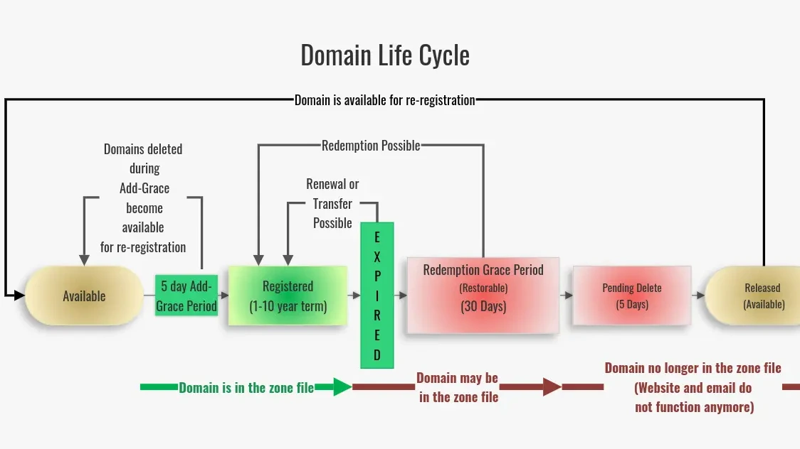 Domain Life Cycle